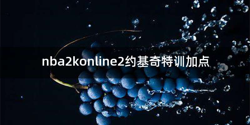 nba2konline2约基奇特训加点