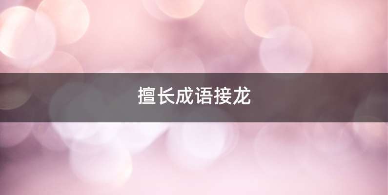 擅长成语接龙