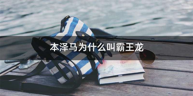 本泽马为什么叫霸王龙