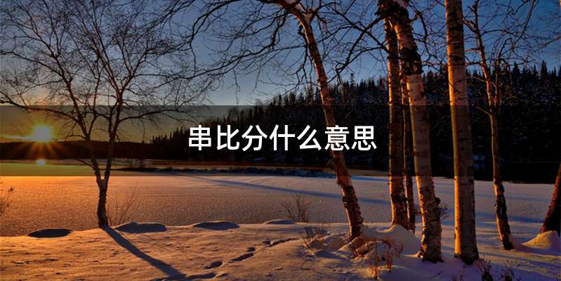串比分什么意思