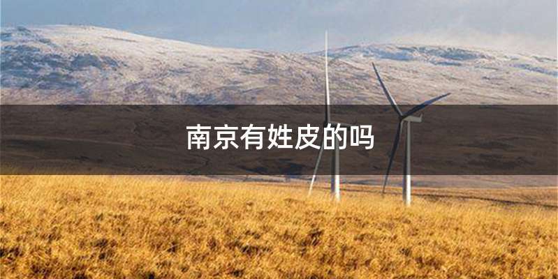 南京有姓皮的吗