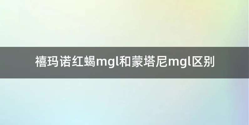 禧玛诺红蝎mgl和蒙塔尼mgl区别