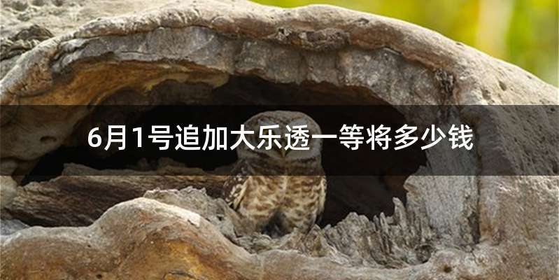 6月1号追加大乐透一等将多少钱