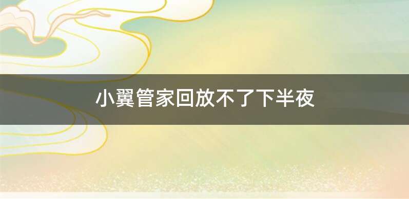 小翼管家回放不了下半夜