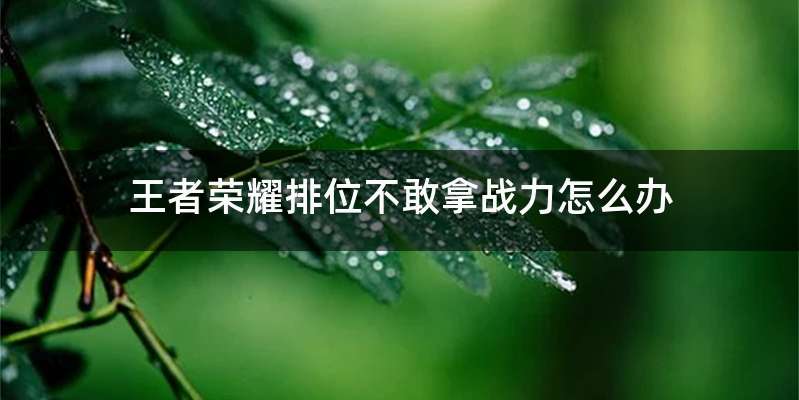 王者荣耀排位不敢拿战力怎么办