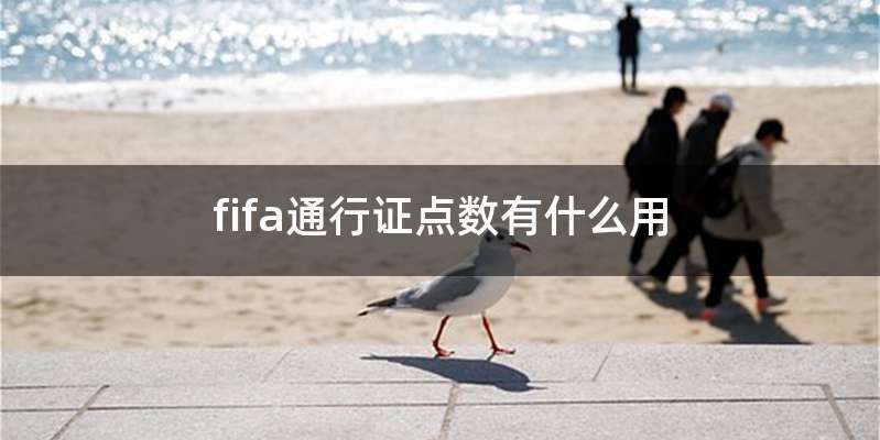 fifa通行证点数有什么用