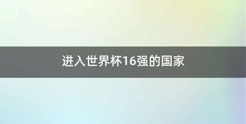 进入世界杯16强的国家