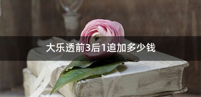 大乐透前3后1追加多少钱