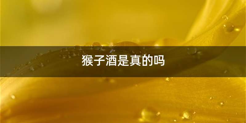 猴子酒是真的吗