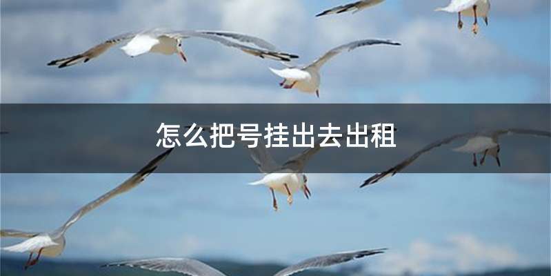 怎么把号挂出去出租