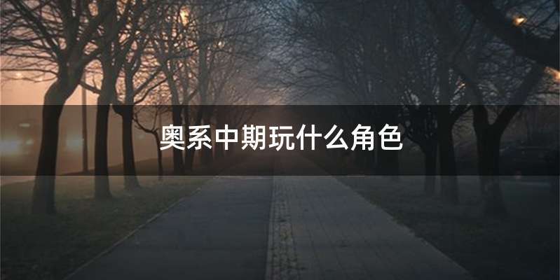 奥系中期玩什么角色