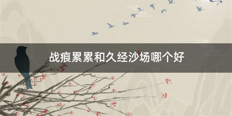 战痕累累和久经沙场哪个好
