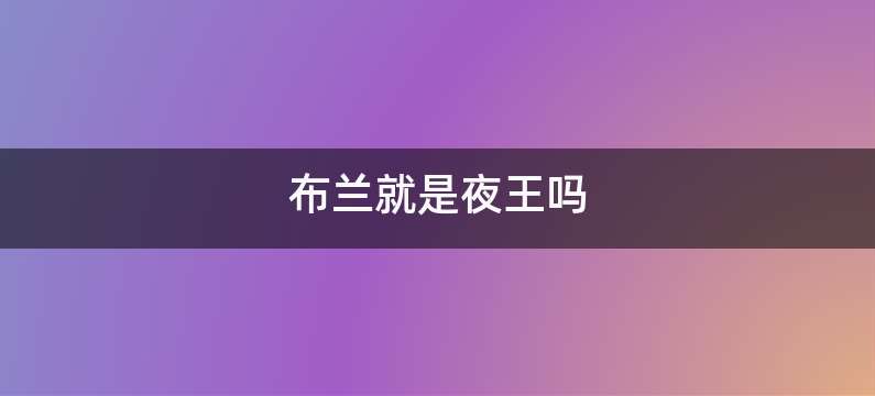 布兰就是夜王吗