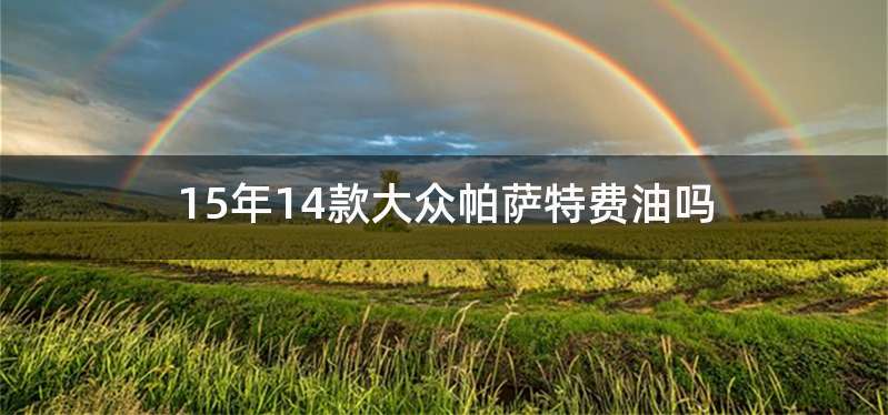 15年14款大众帕萨特费油吗