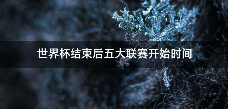 世界杯结束后五大联赛开始时间