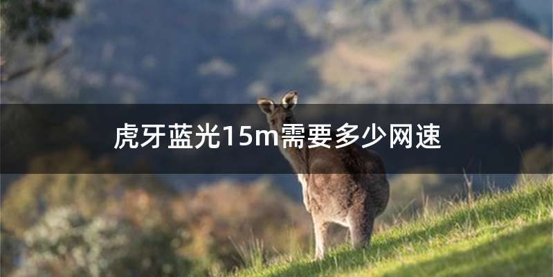 虎牙蓝光15m需要多少网速
