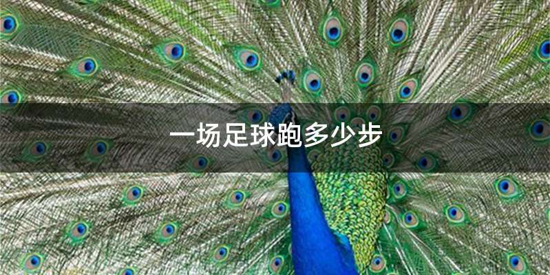 一场足球跑多少步