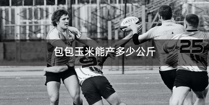 包包玉米能产多少公斤