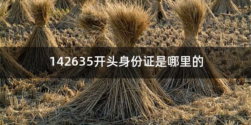 142635开头身份证是哪里的