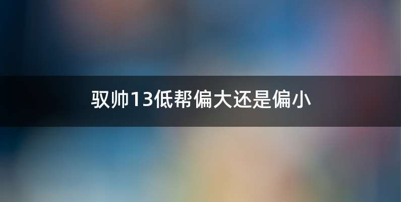 驭帅13低帮偏大还是偏小
