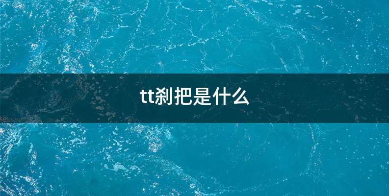 tt刹把是什么