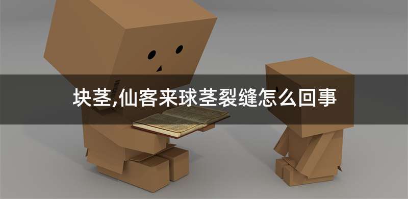 块茎,仙客来球茎裂缝怎么回事