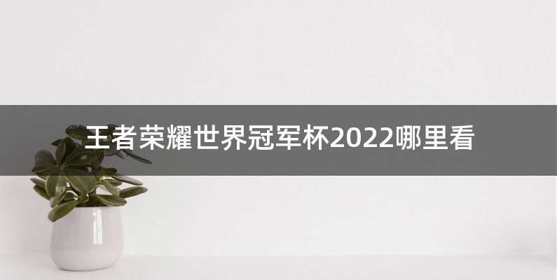 王者荣耀世界冠军杯2022哪里看