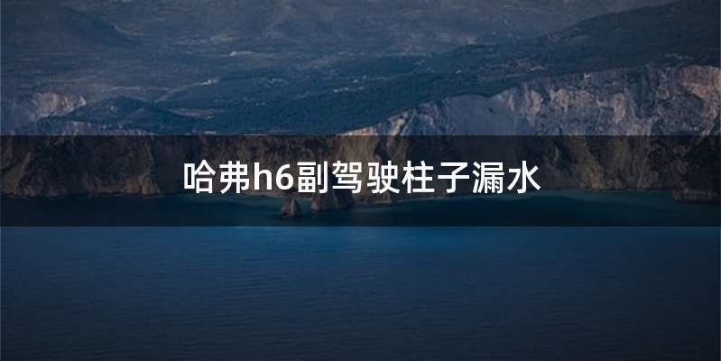 哈弗h6副驾驶柱子漏水