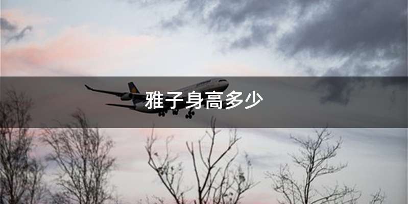 雅子身高多少