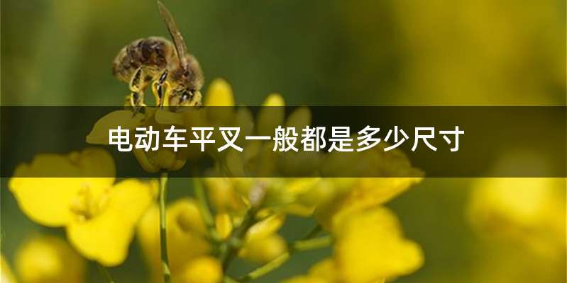 电动车平叉一般都是多少尺寸