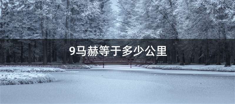 9马赫等于多少公里