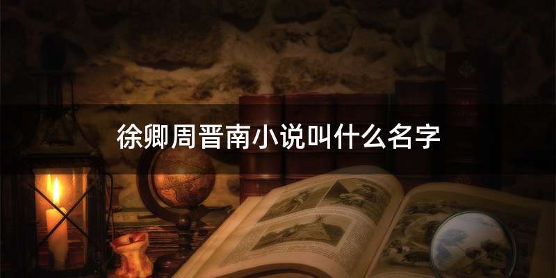 徐卿周晋南小说叫什么名字