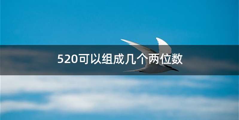 520可以组成几个两位数