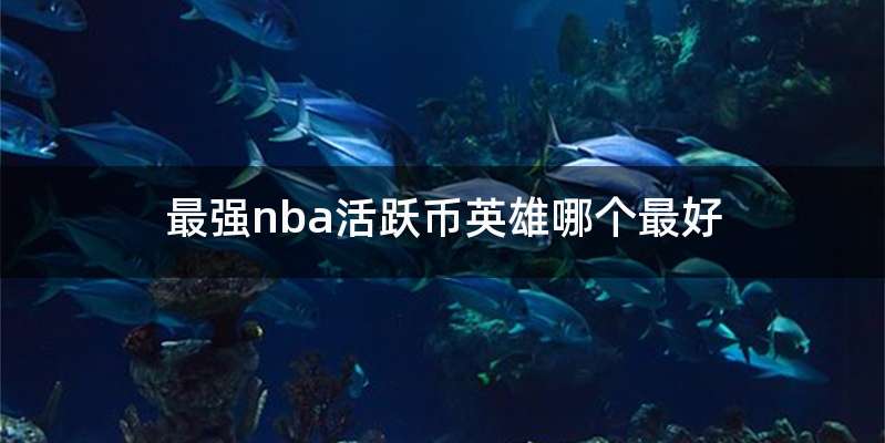 最强nba活跃币英雄哪个最好