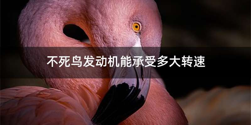 不死鸟发动机能承受多大转速