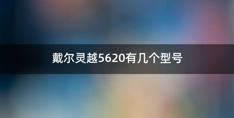 戴尔灵越5620有几个型号