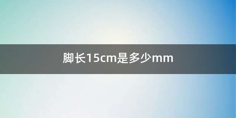 脚长15cm是多少mm