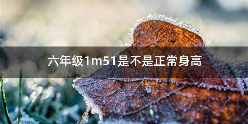 六年级1m51是不是正常身高