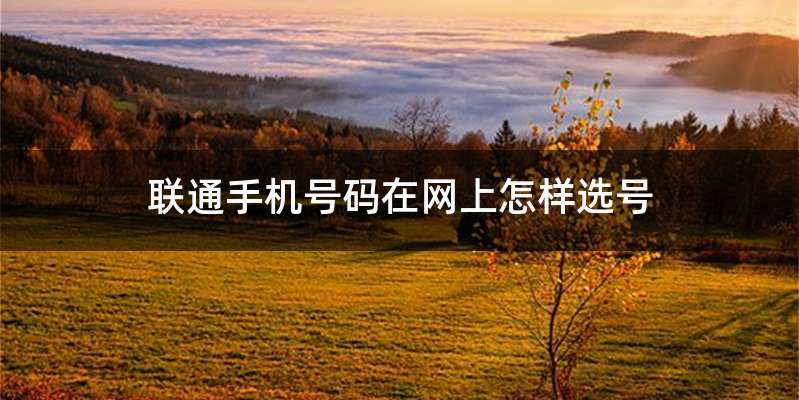联通手机号码在网上怎样选号