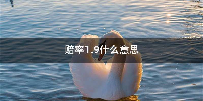 赔率1.9什么意思