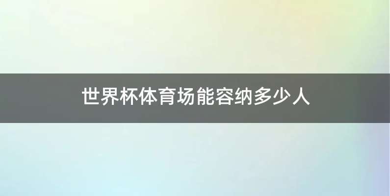 世界杯体育场能容纳多少人