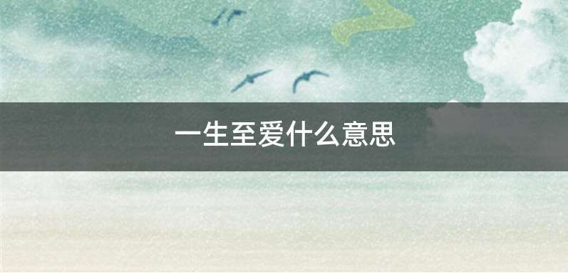 一生至爱什么意思