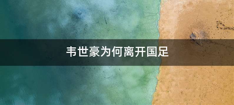 韦世豪为何离开国足