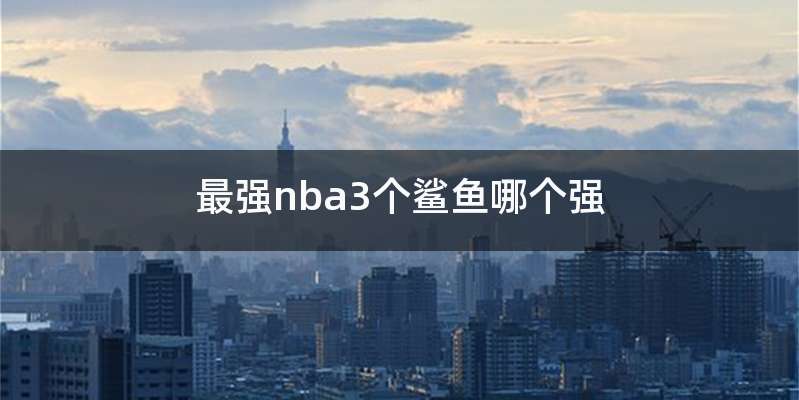 最强nba3个鲨鱼哪个强