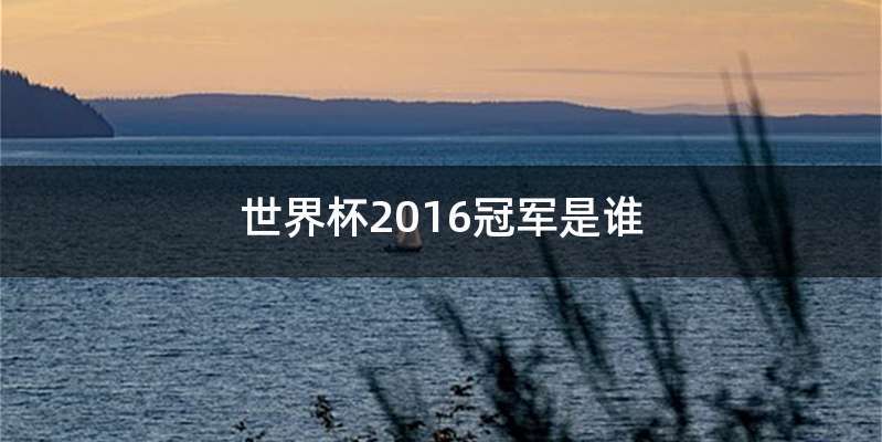 世界杯2016冠军是谁