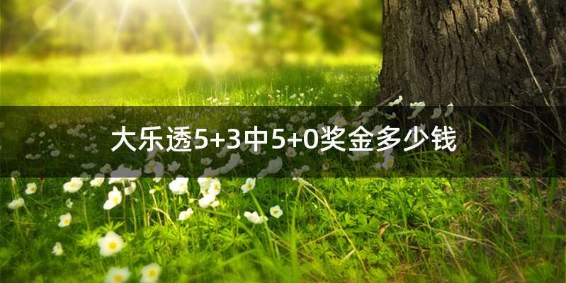 大乐透5+3中5+0奖金多少钱