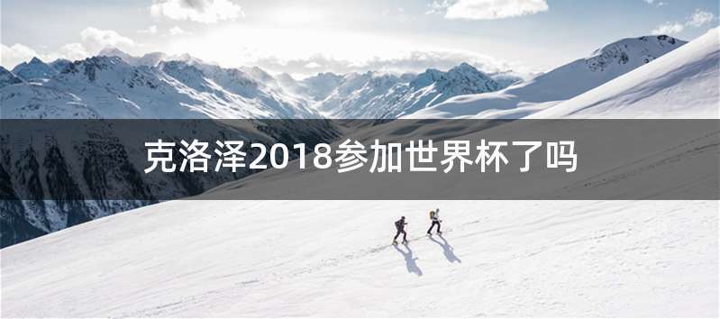 克洛泽2018参加世界杯了吗