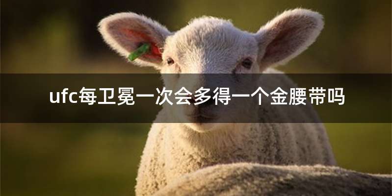ufc每卫冕一次会多得一个金腰带吗