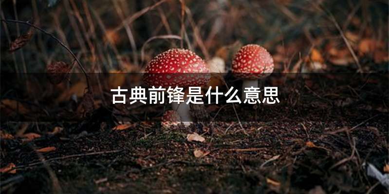 古典前锋是什么意思