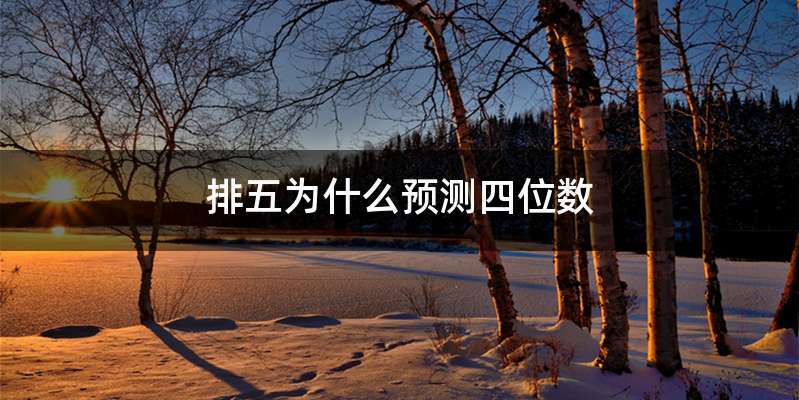 排五为什么预测四位数